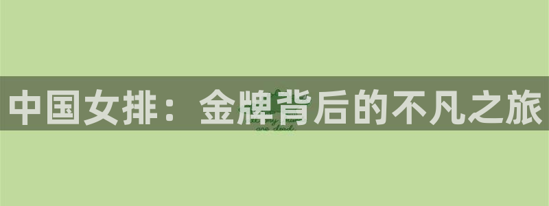 世界杯16强赛程表:中国女排:金牌背后的不凡之旅