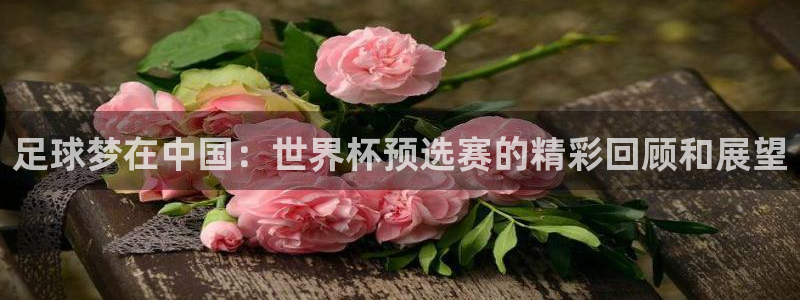 世俱杯直播:足球梦在中国:世界杯预选赛的精彩回顾和展望