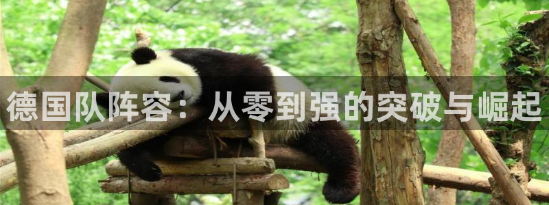 美洲杯直播:德国队阵容:从零到强的突破与崛起