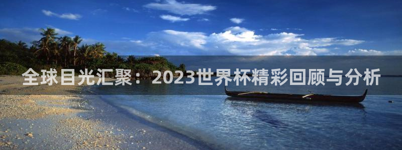 世界杯48支球队赛制:全球目光汇聚:2023世界杯精彩回顾与分析