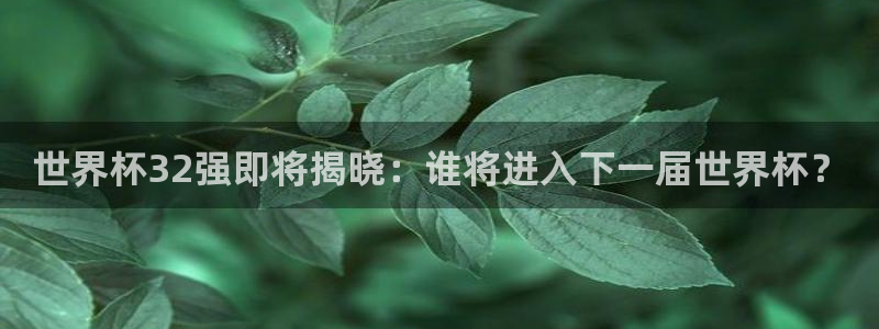 世界杯预选赛亚洲:世界杯32强即将揭晓:谁将进入下一届世界杯?