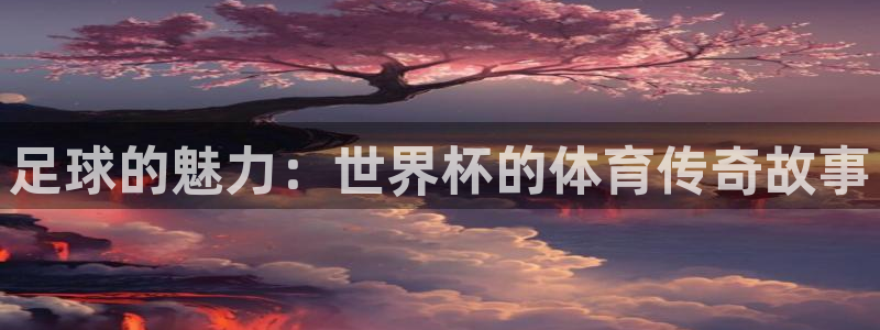 今天所有足球赛程表:足球的魅力:世界杯的体育传奇故事